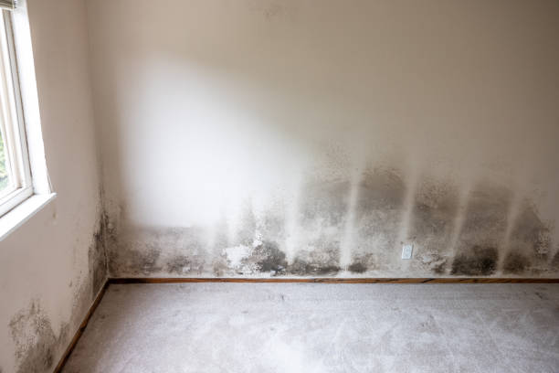 Best Post-Remediation Verification Testing  in South Charleston, WV